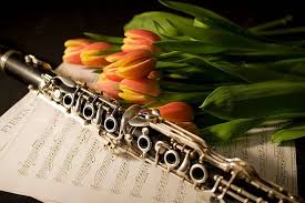 -----Духовые инструменты (2026)----- 116554