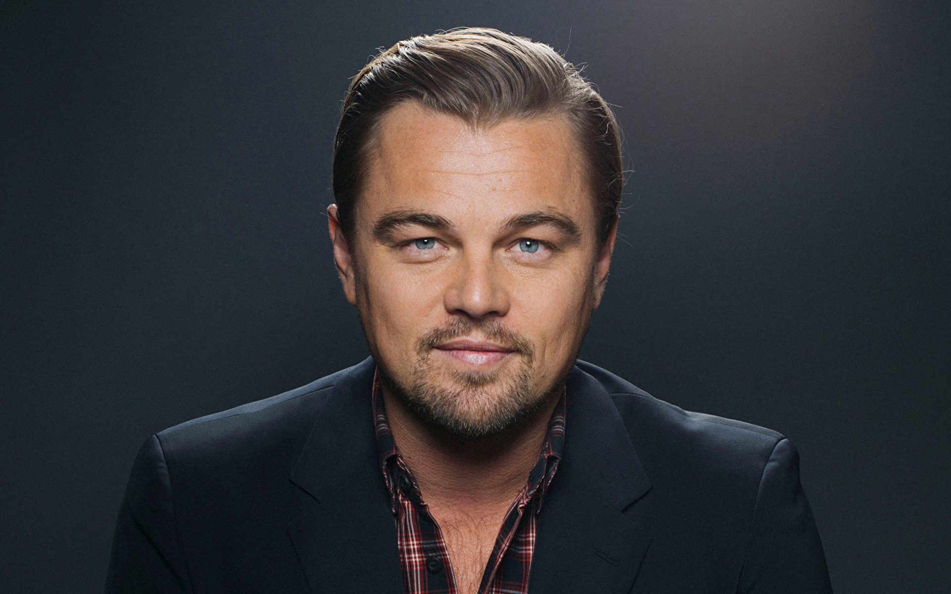 The Great DiCaprio 113518